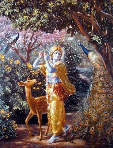 Krishna image