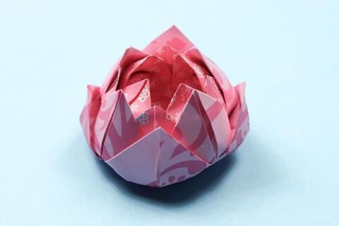 origami lotus