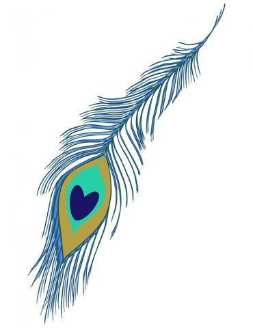 Peacock feather with a heart